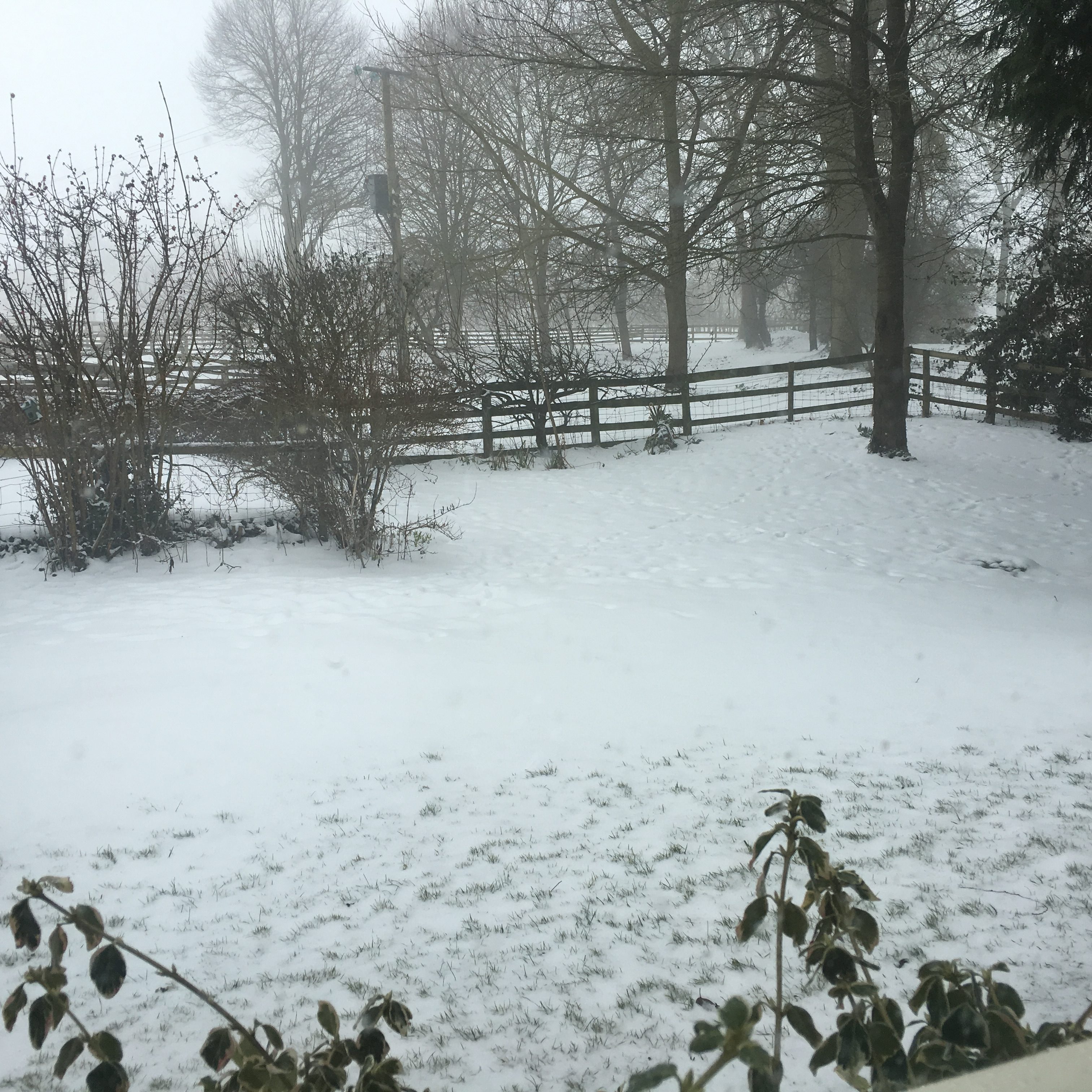 2018-03-03 09.00.33 Snowy day