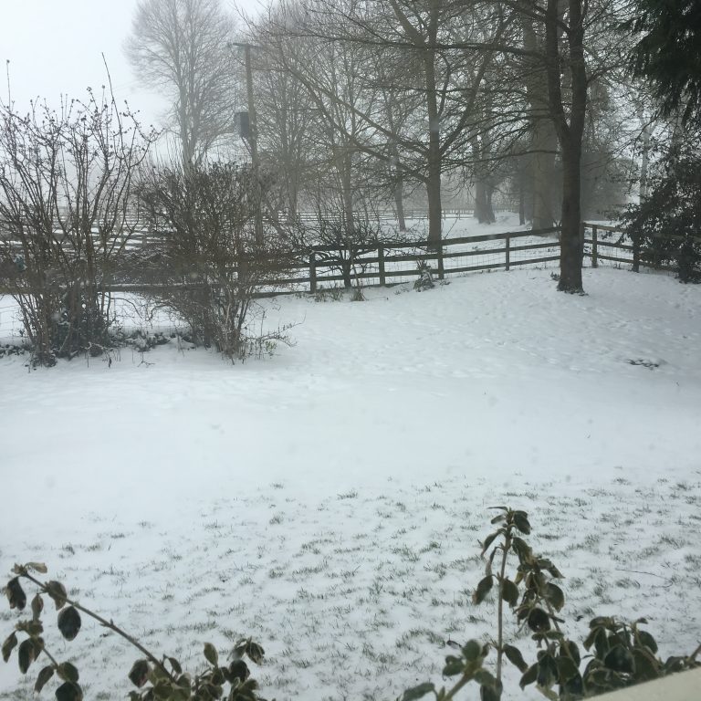 2018-03-03 09.00.33 Snowy day